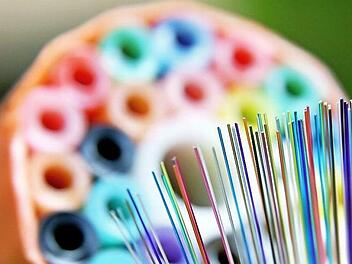 Der Breitbandausbau in Grafengehaig geht weiter. Foto: Jan Woitas/dpa