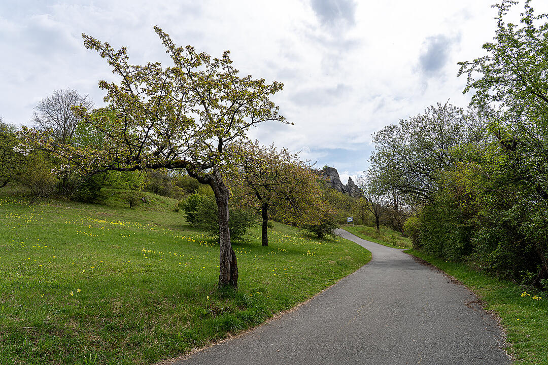 Der Berg der Franken