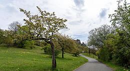 Vorschaubild