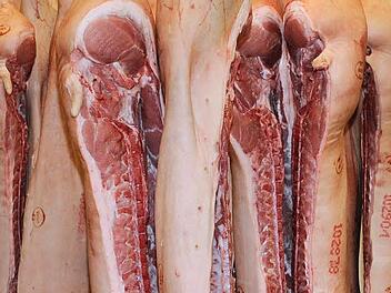 Symbolfoto Foto: epd