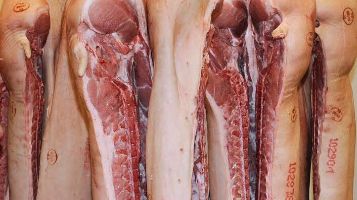 Symbolfoto Foto: epd