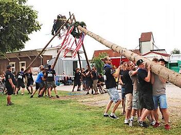 Die Kerwasbuam stellen den 27 Meter langen Baum auf. Foto: Johanna Blum