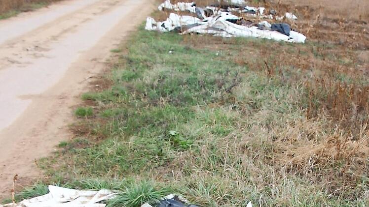 Abdeckfolien, die nach der Spargelsaison als M&uuml;ll zur&uuml;ckbleiben