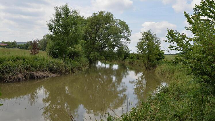 Foto: Ronald Rinklef