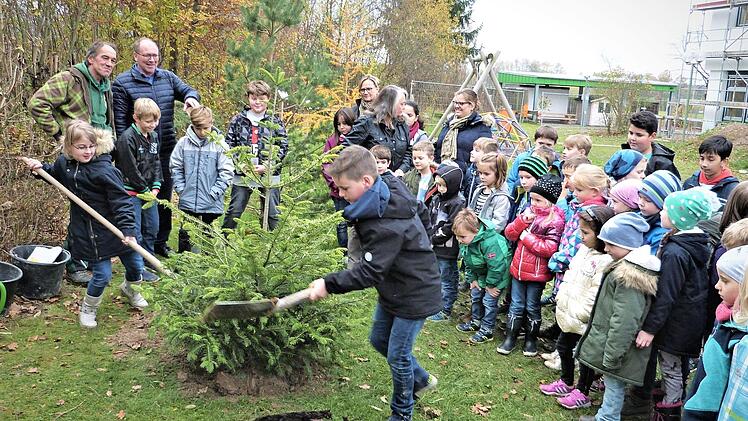 Unser Bild zeigt (im Hintergrund von links) Gärtnermeister Roland Ramming, Rektor Mathias Liebig und die Lehrerinnen Antje Schütz und Barbara Rosenzweig zusammen mit den Kindern bei der Pflanzung der Weißtanne. Foto: Werner Reißaus