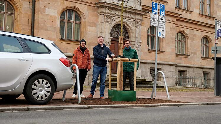Bamberg: Weniger Versiegelung, mehr Gr&uuml;n - 31 neue B&auml;ume gepflanzt