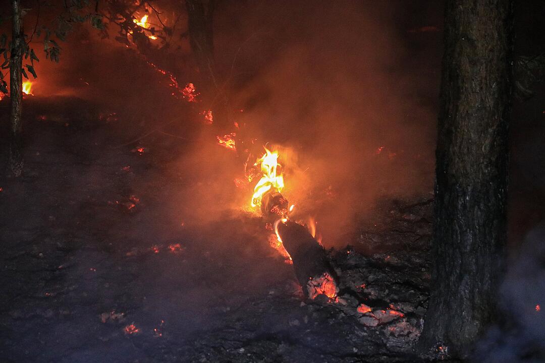 Munition detoniert bei nächtlichem Waldbrand