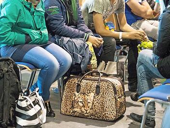 Wenige Tage vor Weihnachten wurden drei Erwachsene und fünf Kinder aus dem Kosovo aus ihren Wohnungen in Wirsberg abtransportiert. Die Nacht-und-Nebel-Aktion hatte in der Marktgemeinde für Empörung gesorgt. Symbolbild: Armin Weigel/dpa