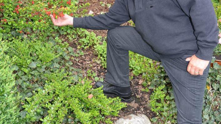 Reinhard Eckert hat sich den Garten zum Hobby gemacht. Er feiert am Pfingstsonntag seinen 75. Geburtstag.  Foto: K.-H. Hofmann