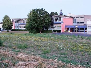 Das Grundstück oberhalb der Schule hat die Gemeinde vom Schulverband erworben. Hier soll der Neubau für fünf Gruppen entstehen. Foto: Seeger