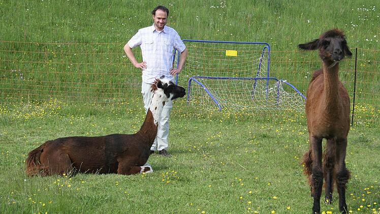 Samuel Müller ist fasziniert von den Lamas. "Lamas sind die Delfine der Weide", schwärmt er und erhofft sich gute Erfolge bei den Freizeiten mit ADHS-Kindern Foto: Sonja Adam