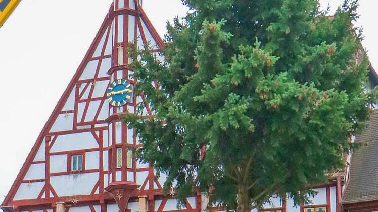 Die Douglasie, der Forchheimer Christbaum 2018, schwebt auf dem Rathausplatz ein. Foto: Josef Hofbauer