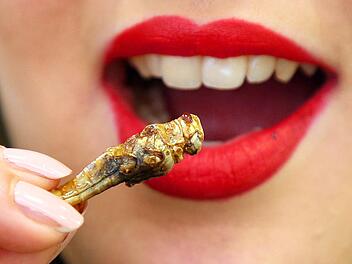K&ouml;nnte und sollte auch zur Gewohnheit werden: Insektenessen. Eine aktuelle Studie der Universit&auml;t aus dem italienischen Teramo wollen in Insekten Schutz vor Krebs gefunden haben. Grund sind Antioxidantien. Foto: Wolfgang Kumm/dpa