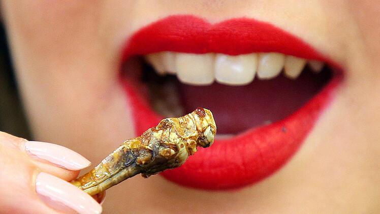K&ouml;nnte und sollte auch zur Gewohnheit werden: Insektenessen. Eine aktuelle Studie der Universit&auml;t aus dem italienischen Teramo wollen in Insekten Schutz vor Krebs gefunden haben. Grund sind Antioxidantien. Foto: Wolfgang Kumm/dpa