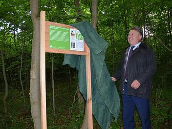 Bayerns Forstminister Helmut Brunner enthüllt eine Infotafel am Rand des erweiterten Naturwaldreservats Schwengbrunn. Fotos: Rainer Lutz