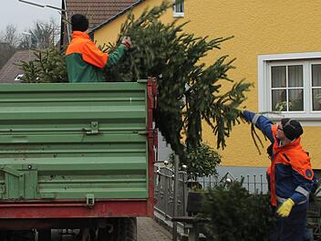 In vielen Gemeinden sammeln Freiwillige, wie hier in Kirchehrenbach, die alten Christbäume ein.  Foto: Freiwillige Feuerwehr Kirchehrenbach