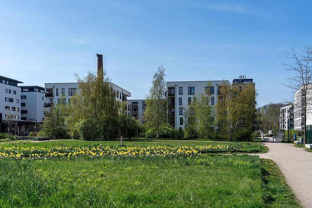 Wundersch&ouml;ne Naturfotos aus Bamberg.