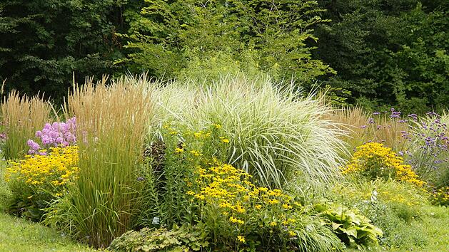 Staudenbeet: Pflegetipps f&uuml;r den Herbst und Winter