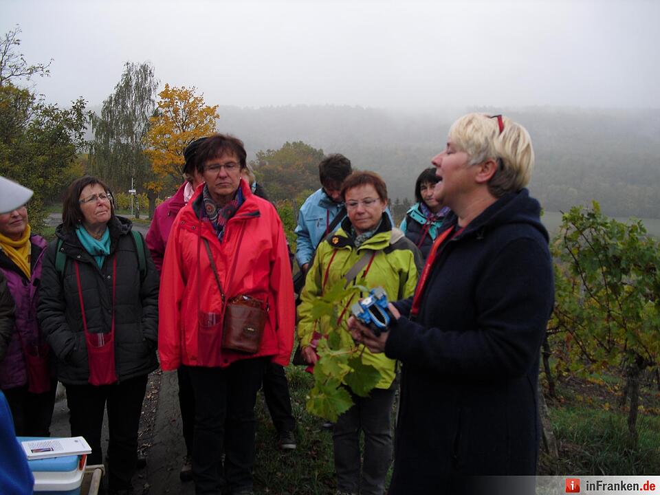 ABO Plus Bus-Wander-Tour Handthal_21.10.15