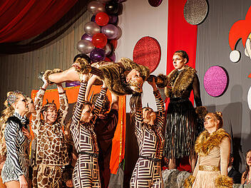 Ipsheim feiert Fasching!