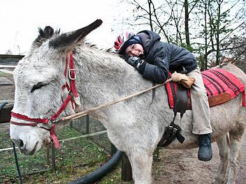 Nikolai (ein Kind mit Down Syndrom) hat Enrico, den andalusischen Riesenesel, lieb gewonnen. Foto: Evi Seeger