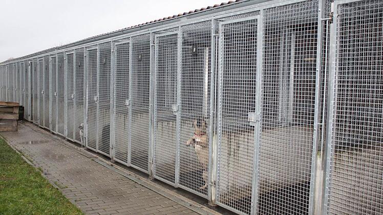 Die Hundezwinger sehen nicht gerade einladend aus.