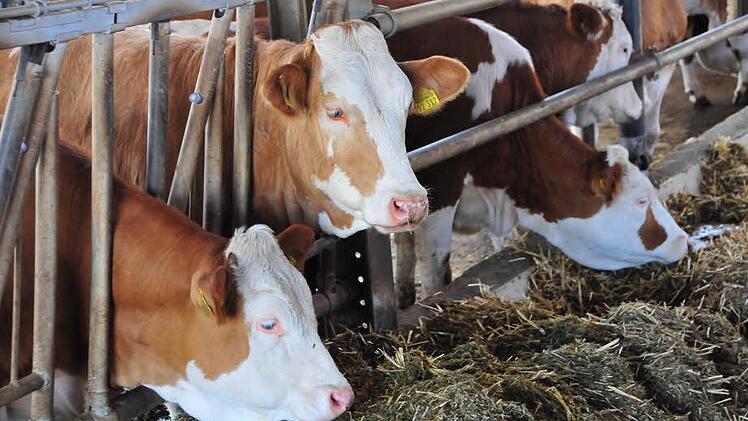 Aktuell gibt es noch etwa 10 000 Bauernhöfe in Oberfranken - Tendenz weiter fallend. Fotos: Stephan Herbert Fuchs