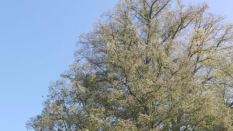 Bischwind - der Coburger Landkreissieger bei "Das schönere Dorf, die schönere Stadt".Foto: Berthold Köhler