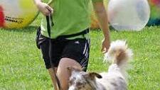 Sarah Pietsch zeigt, wie beim VdH mit den Hunden trainiert wird.