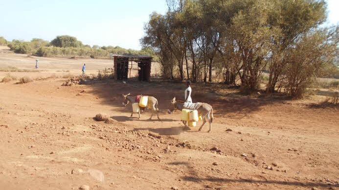 Die Dürre ist eine existenzielle Gefahr für Menschen und Tiere.