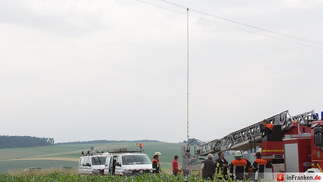 Katze Molli löst Feuerwehreinsatz aus