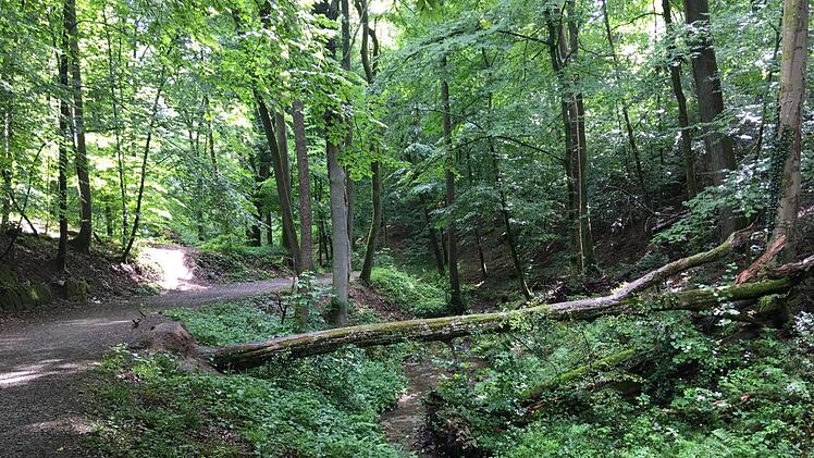 Über das Kaskadental führt die Strecke in Richtung Gradierbau.