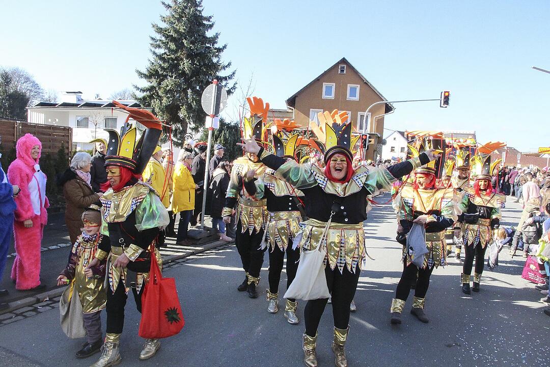 Fasching 2025 in Stadtsteinach!