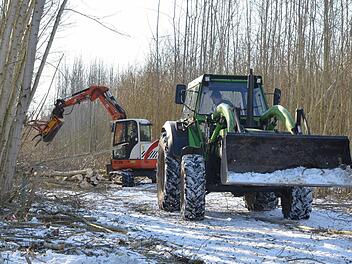 Bei Waldsachsen wird maschinell Holz zur Energiegewinnung geerntet. Foto: Rainer Lutz
