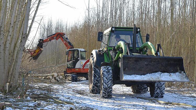 Bei Waldsachsen wird maschinell Holz zur Energiegewinnung geerntet. Foto: Rainer Lutz