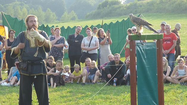 Anstatt des sonst &uuml;blichen Ritterturniers durch die Gruppe  Montessa war diesmal die Falknershow die Hauptattraktion des Ritterfestes.   Foto: Thomas Weichert