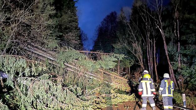 Mehrere B&auml;ume waren &uuml;ber die Stra&szlig;e zwischen Wartenfels und Seubetenreuth (Gemeinde Presseck) gest&uuml;rzt.