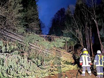 Mehrere Bäume waren über die Straße zwischen Wartenfels und Seubetenreuth (Gemeinde Presseck) gestürzt.