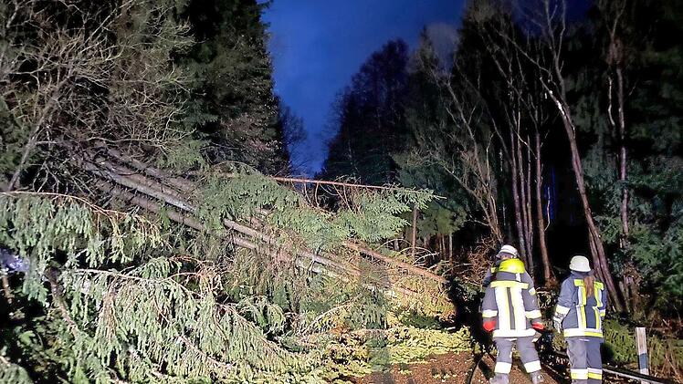 Mehrere Bäume waren über die Straße zwischen Wartenfels und Seubetenreuth (Gemeinde Presseck) gestürzt.