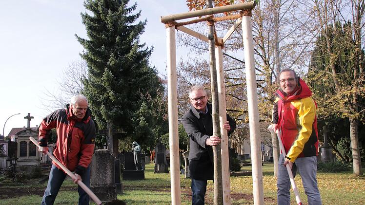 Stadtrat Richard Fix (von links), Frank Scheller und Christian Barthel von der Deutschen Post DHL W&uuml;rzburg pflanzen die Sumpfeiche im Kapellenpark.