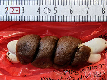 Möhrendorf: Gemeinde warnt vor möglichen Giftködern nahe beliebter Örtlichkeit