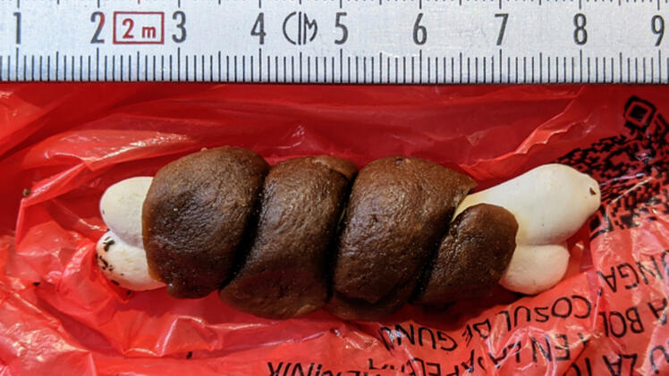 Möhrendorf: Gemeinde warnt vor möglichen Giftködern nahe beliebter Örtlichkeit