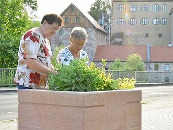Kassiererin Brunhilde Hillenbrand und Herta Müller beim Pflegen der Anlagen beim Nepomuk an der Saale-Brücke.  Fotos: Björn Hein