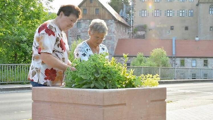 Kassiererin Brunhilde Hillenbrand und Herta Müller beim Pflegen der Anlagen beim Nepomuk an der Saale-Brücke.  Fotos: Björn Hein