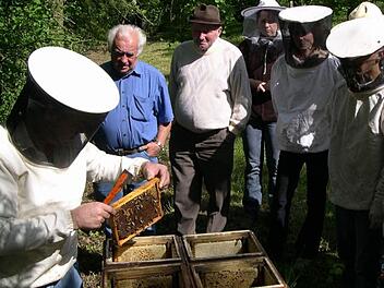 Von der richtigen Kleidung bis zum Umgang mit den Bienenvölkern geht es beim Probe-Imkern in Kirchlauter. Foto: Günther Geiling
