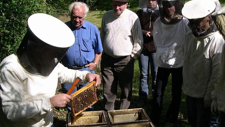 Von der richtigen Kleidung bis zum Umgang mit den Bienenvölkern geht es beim Probe-Imkern in Kirchlauter. Foto: Günther Geiling