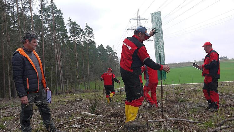 Das Team der Firma Klade bei der Pflanzmaßnahme in der Nähe von Rögen (Stadt Coburg). Foto: Berthold Köhler