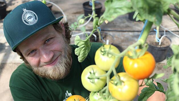 Kris Emmerling baut in Bamberg &uuml;ber 100 verschiedene Tomatensorten an - Besucher k&ouml;nnen in der G&auml;rtnerei selbst ernten. Anna-Lena Deuerling