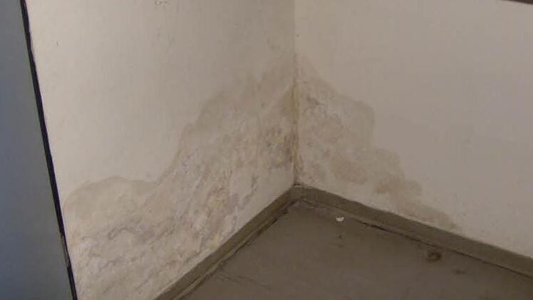 Wasserflecken, eine gesperrte Küche und eine beschädigte Malecke; die Verhältnisse im Kindergarten sind zum Teil desaströs. Fotos: Petra Malbrich