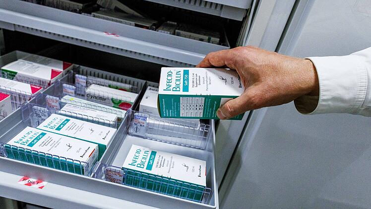 Schimmelpilz Penicillium ist Mikrobe des Jahres